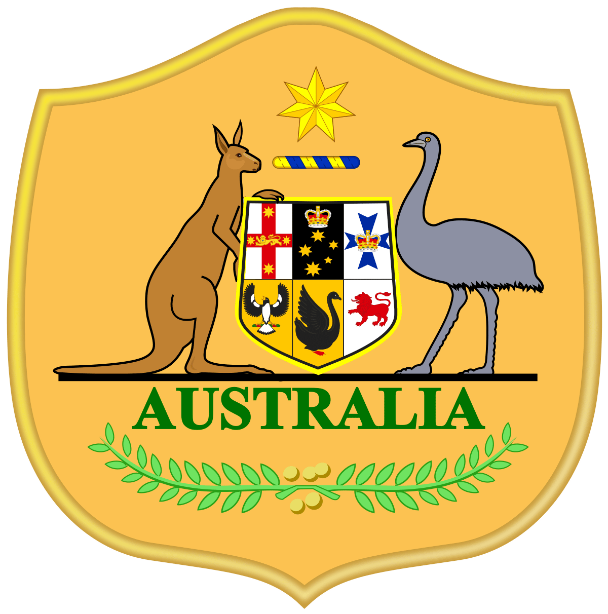 Australia National Football Team Logo