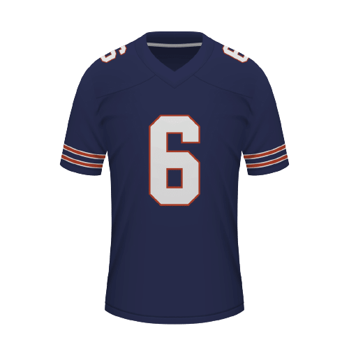 Chicago Bears NFL Predictions