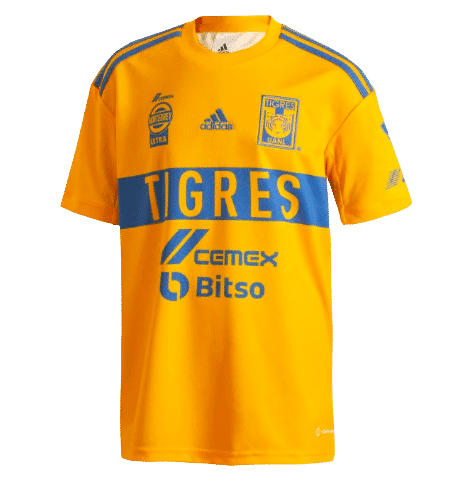 Tigres Predictions and Odds